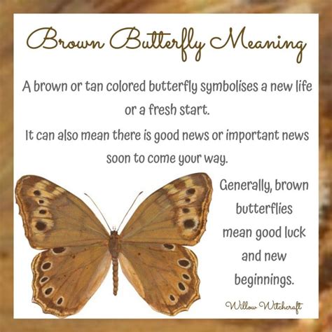 brown butterfly meaning in the bible|butterfly meanings in the bible.